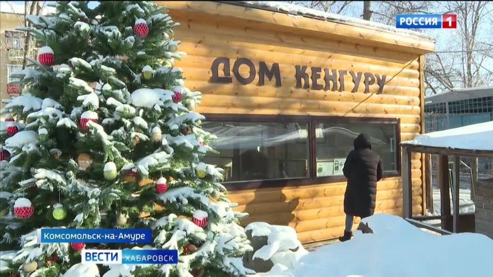 «Квартиру кенгуру построили всем миром»: в Городе юности собирают идеи, как улучшить жизнь вокруг