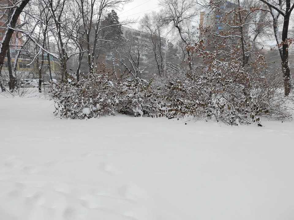 Сильно похолодает в горах Хабаровского края0