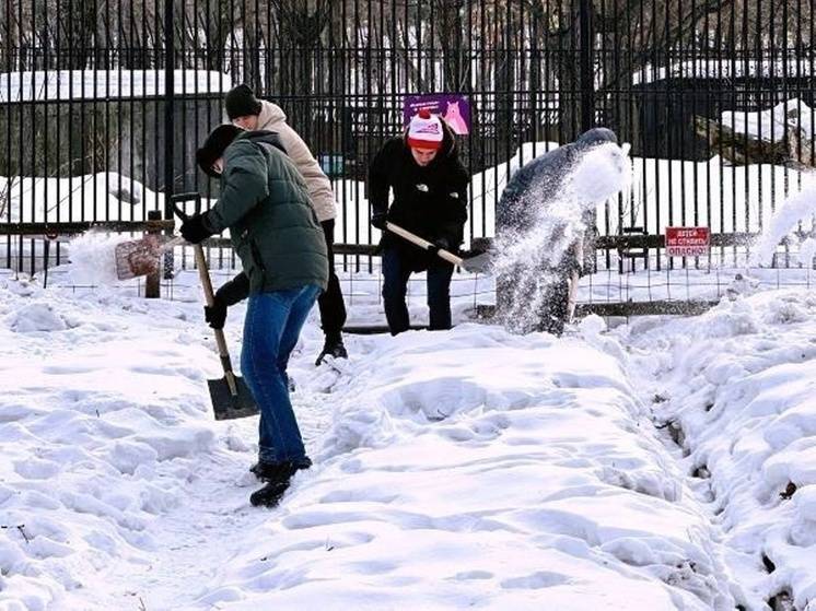 Студенты хабаровского вуза помогли зоосаду