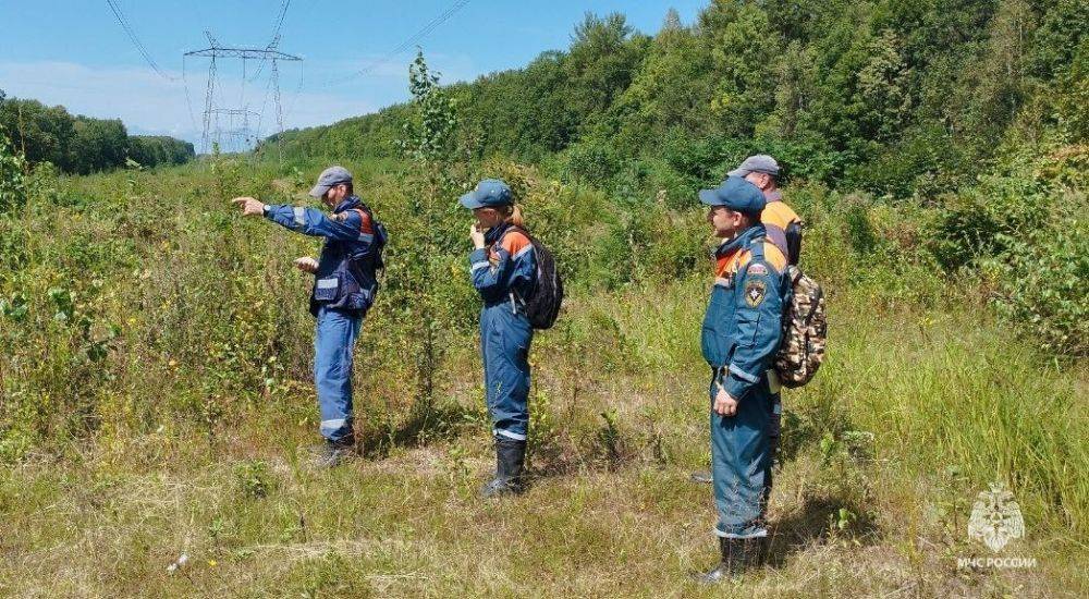 Хабаровские спасатели МЧС России нашли заблудившуюся при сборе грибов пенсионерку