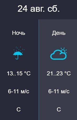 24 августа в Хабаровске, по данным "Дальневосточного УГМС", от +21 до +23 градусов