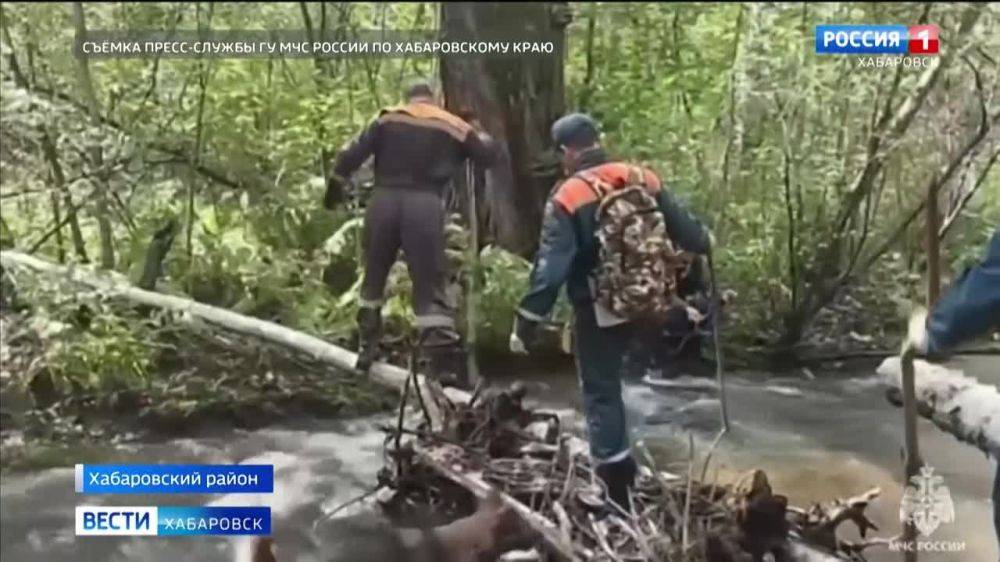 Почти сутки искали в лесу 74-летнюю пенсионерку спасатели МЧС