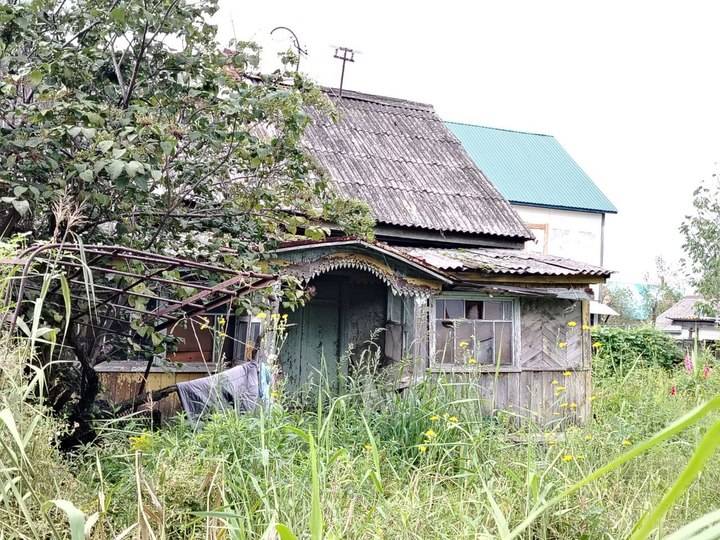 Что делать с заброшенным участком, и за что могут оштрафовать хабаровских дачников в 2025 году8