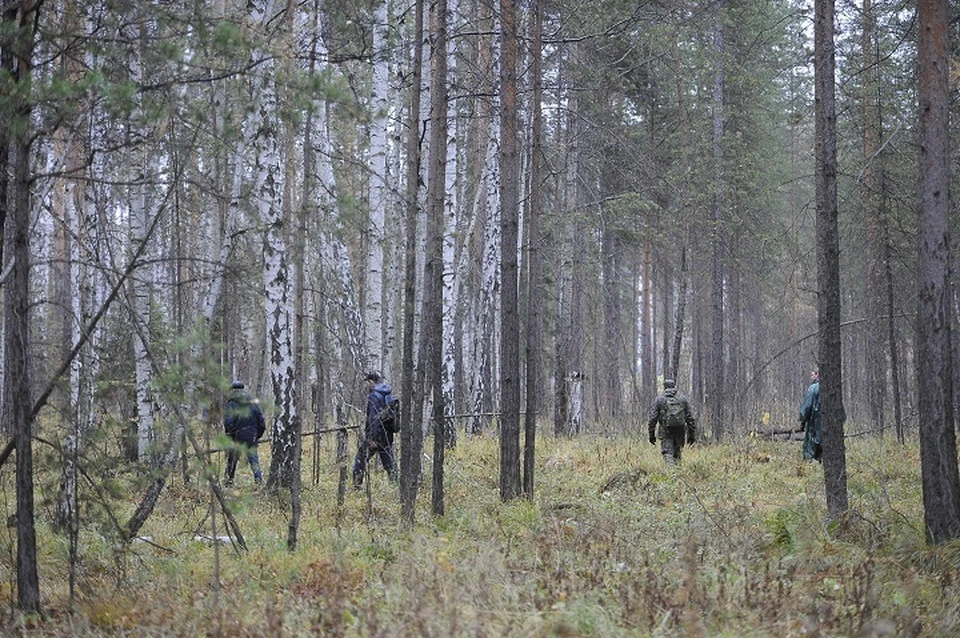 Что произошло в Хабаровском крае к утру 1 сентября0