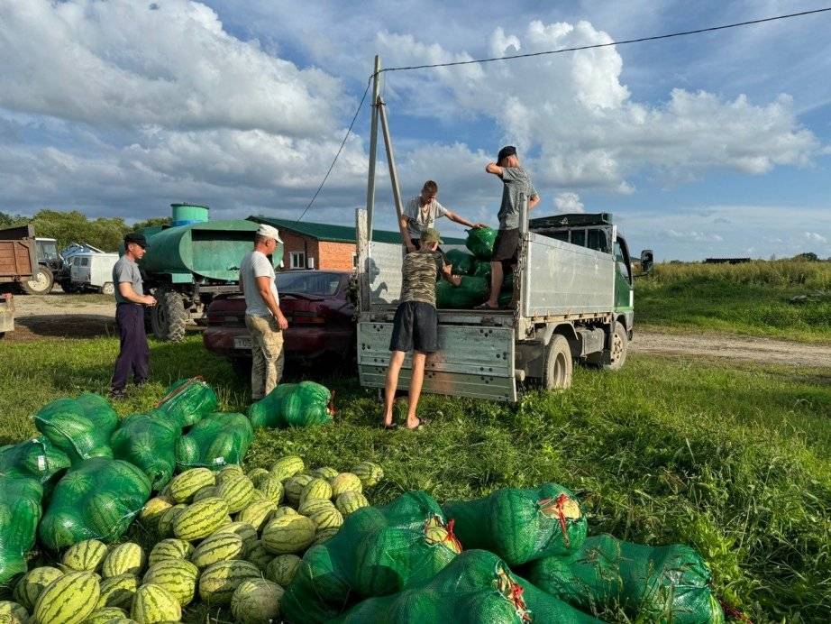 Пресс-служба министерства сельского хозяйства и продовольствия Хабаровского края