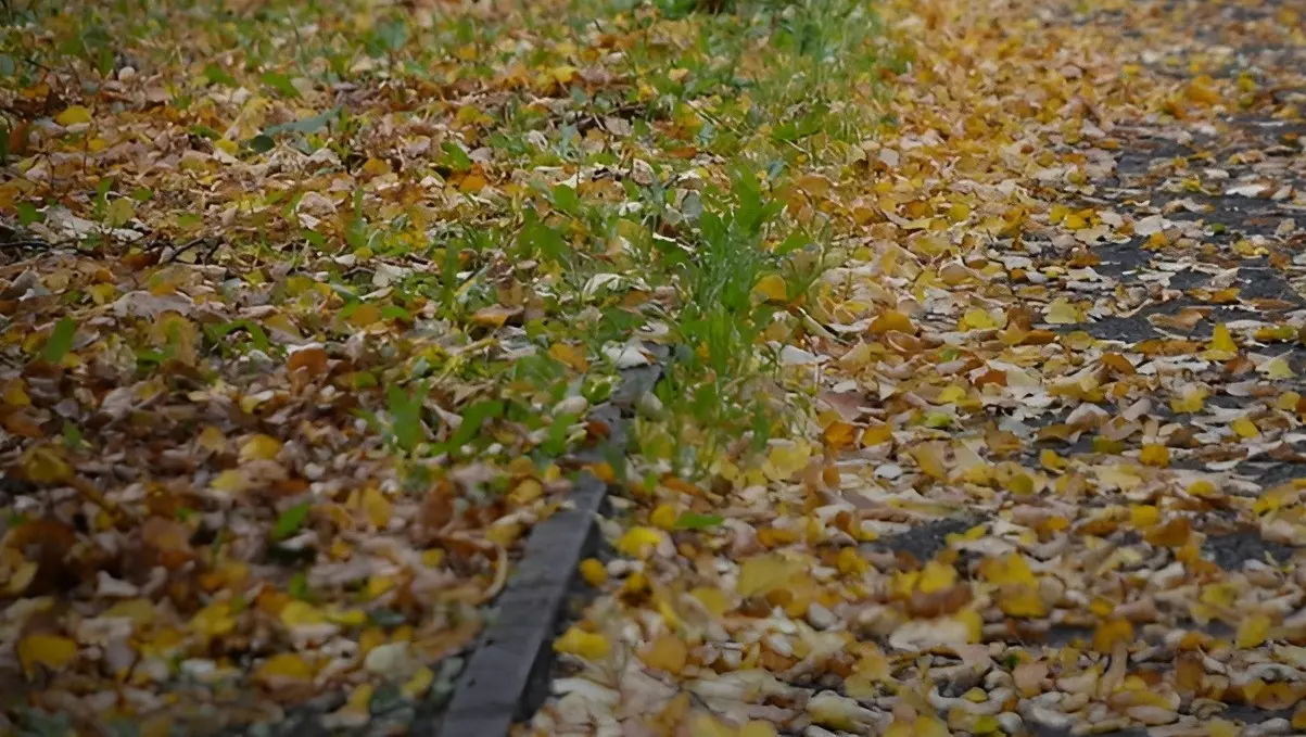 Старейший парк Хабаровска пришёл в упадок0