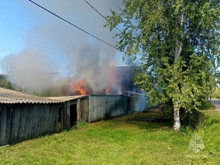 В Приамурье дети подожгли подворье, пока мама ходила в магазин