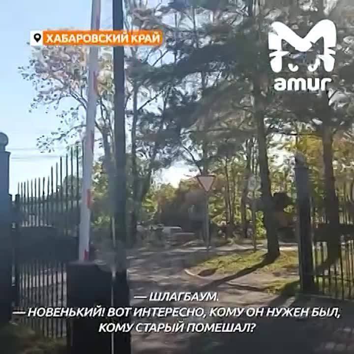 В больнице Хабаровского края, где ветеранов спускают на руках, вместо сломанных лифтов обновили шлагбаум