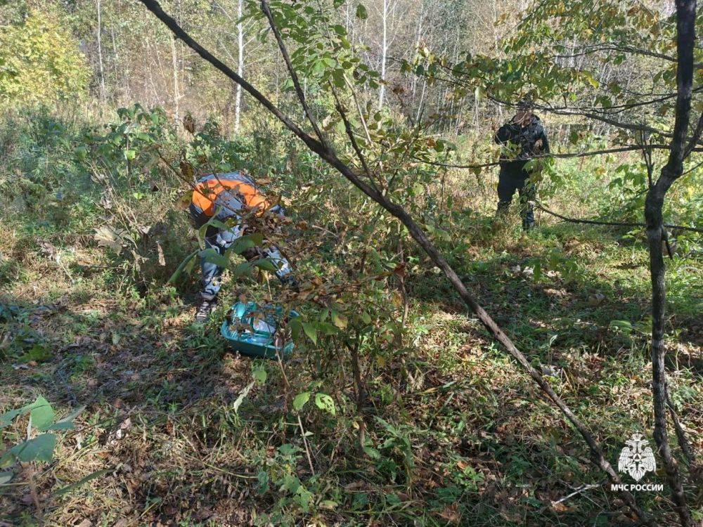 Поиски пропавших рыбаков и грибника ведут спасатели МЧС России в трёх районах Хабаровского края