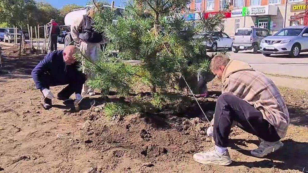 Сергей Кравчук: Сегодня во всех районах Хабаровска проходит общегородской субботник