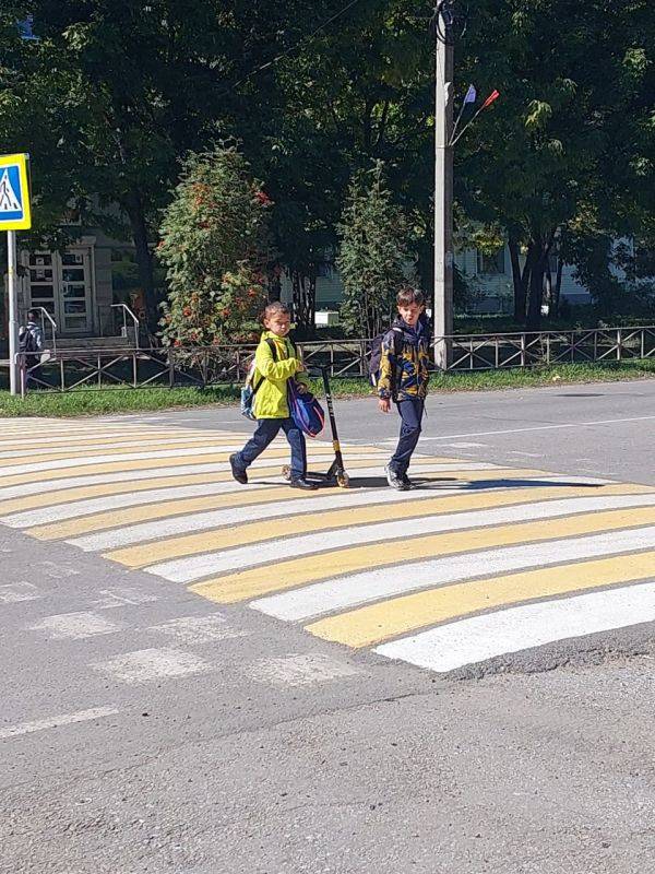 Сотрудники Госавтоинспекции района имени Лазо провели профилактическое мероприятие «ПДД соблюдаем, безопасно шагаем»