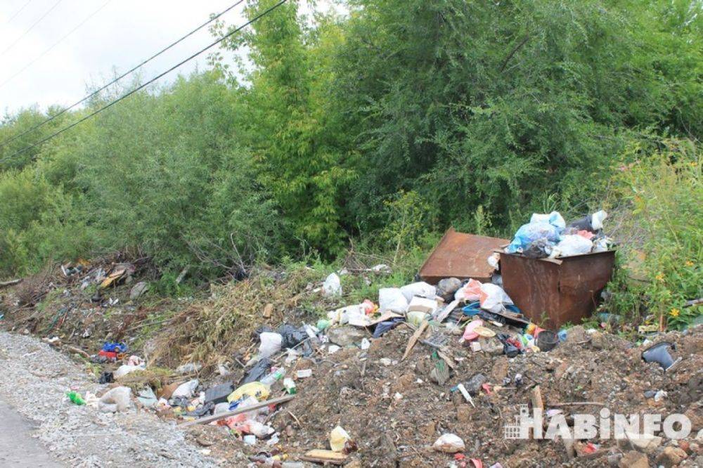 В Хабаровском районе устранена незаконная свалка в лесу