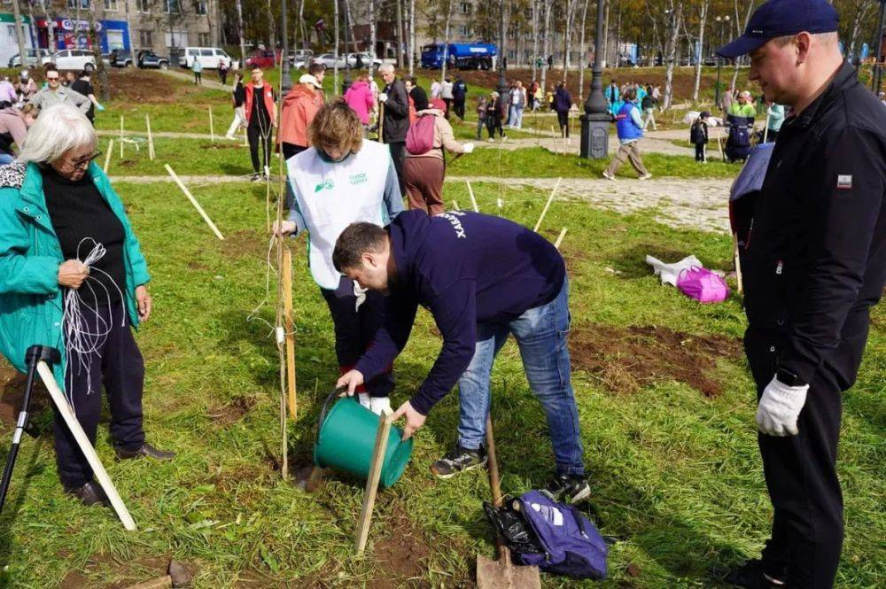 «День древонасаждений» прошел в Ванино