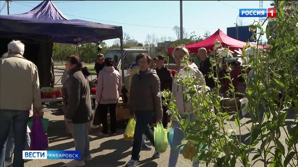 Новое место со всеми удобствами получили фермеры региона: краевая сельхоз-ярмарка сменила прописку