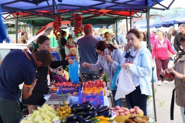 Краевая сельскохозяйственная ярмарка в Хабаровске переезжает на новое место