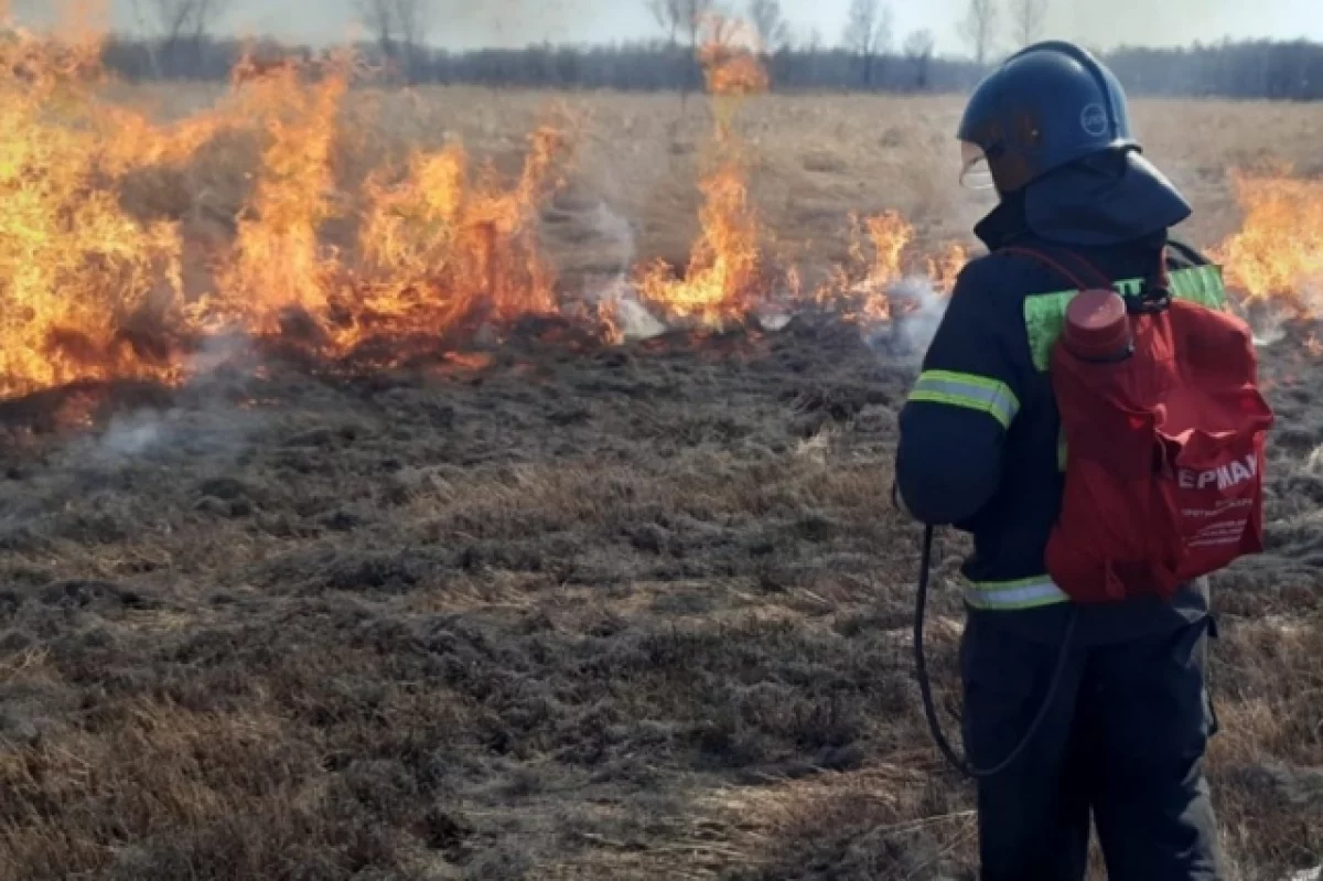 Самый высокий уровень пожарной опасности установился в Хабаровском крае0