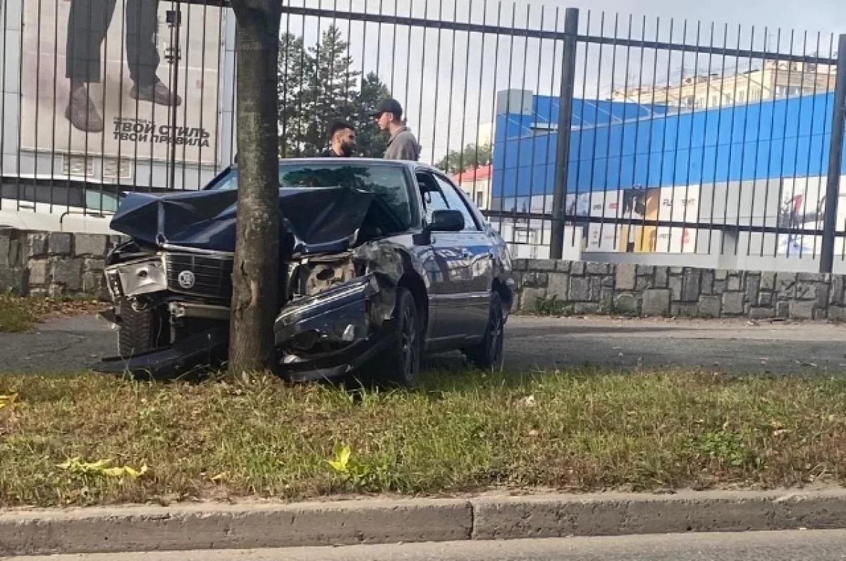 Японское ретро превратилось в металлолом встретившись с дубом в Хабаровске0