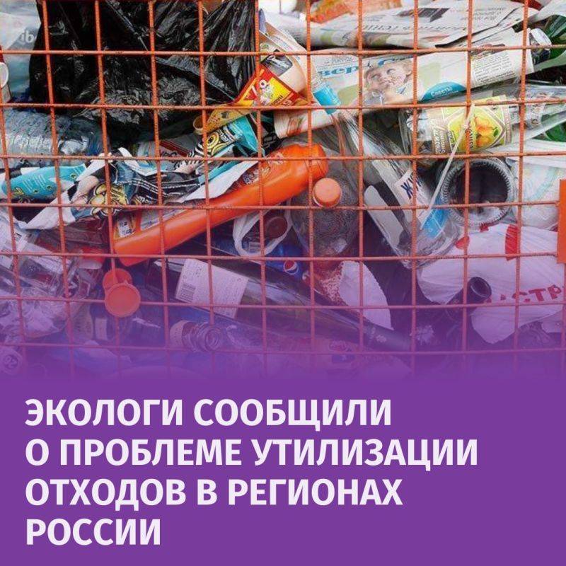 В системе утилизации отходов в регионах есть недочеты, считают экологи