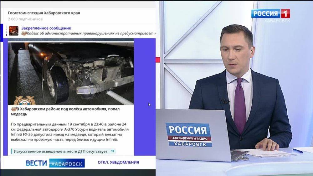 Смотрите в 21:10. Медведь погиб под колёсами автомобиля в Хабаровском районе