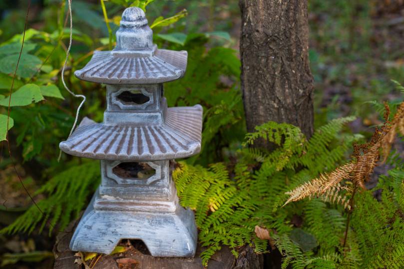 Amur Bonsai: хабаровчанин превратил свою дачу в экзотический сад с причудливыми мини-деревьями5