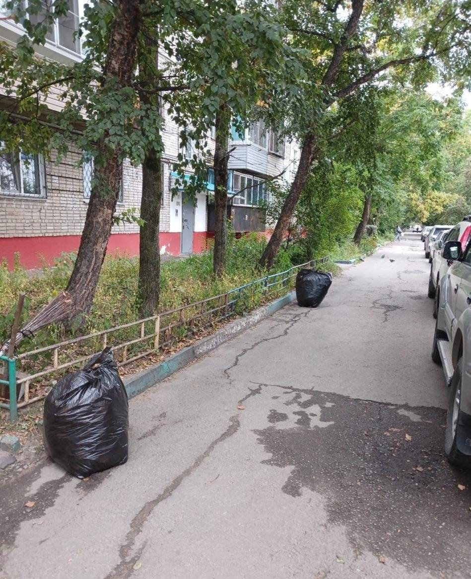 Мётлы, грабли и лопаты взяли в руки жители Хабаровского края и наводят чистоту2