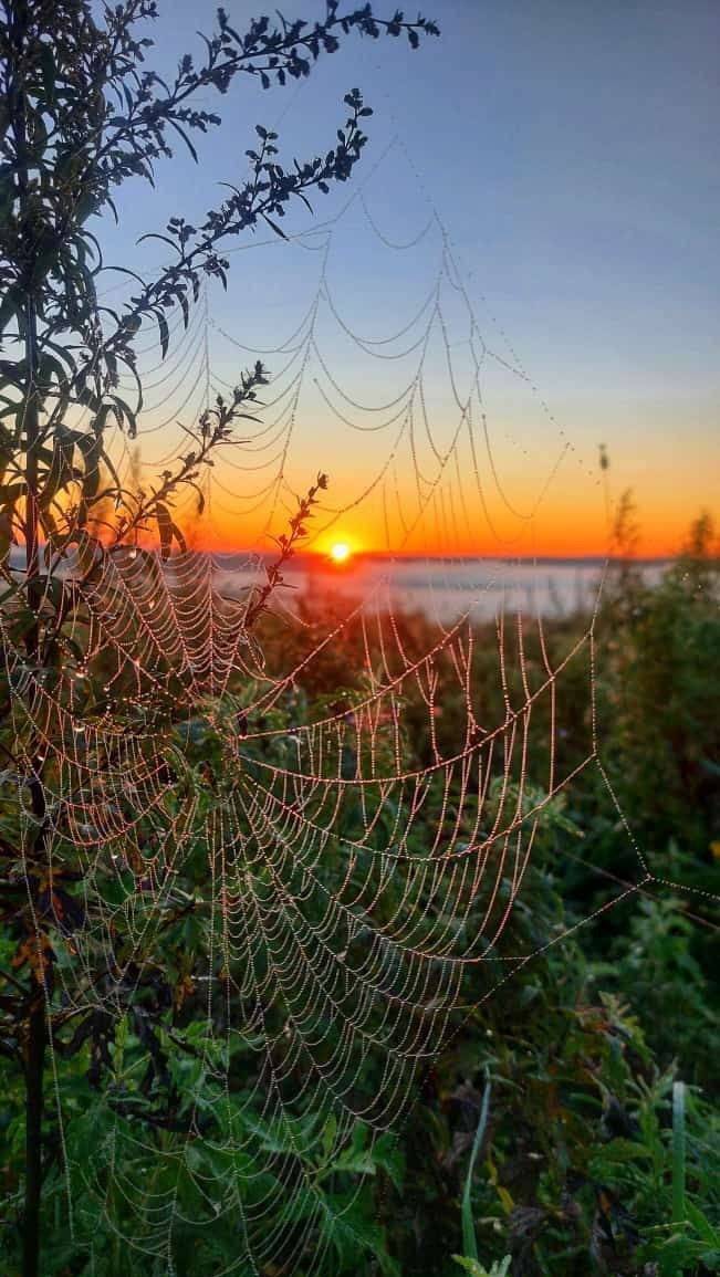 Осень наступила незаметно: бодрящее холодное утро в Приморье — фото6