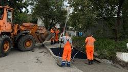 Приходи в сквер за другом: жители Владивостока могут найти себе животное по душе0