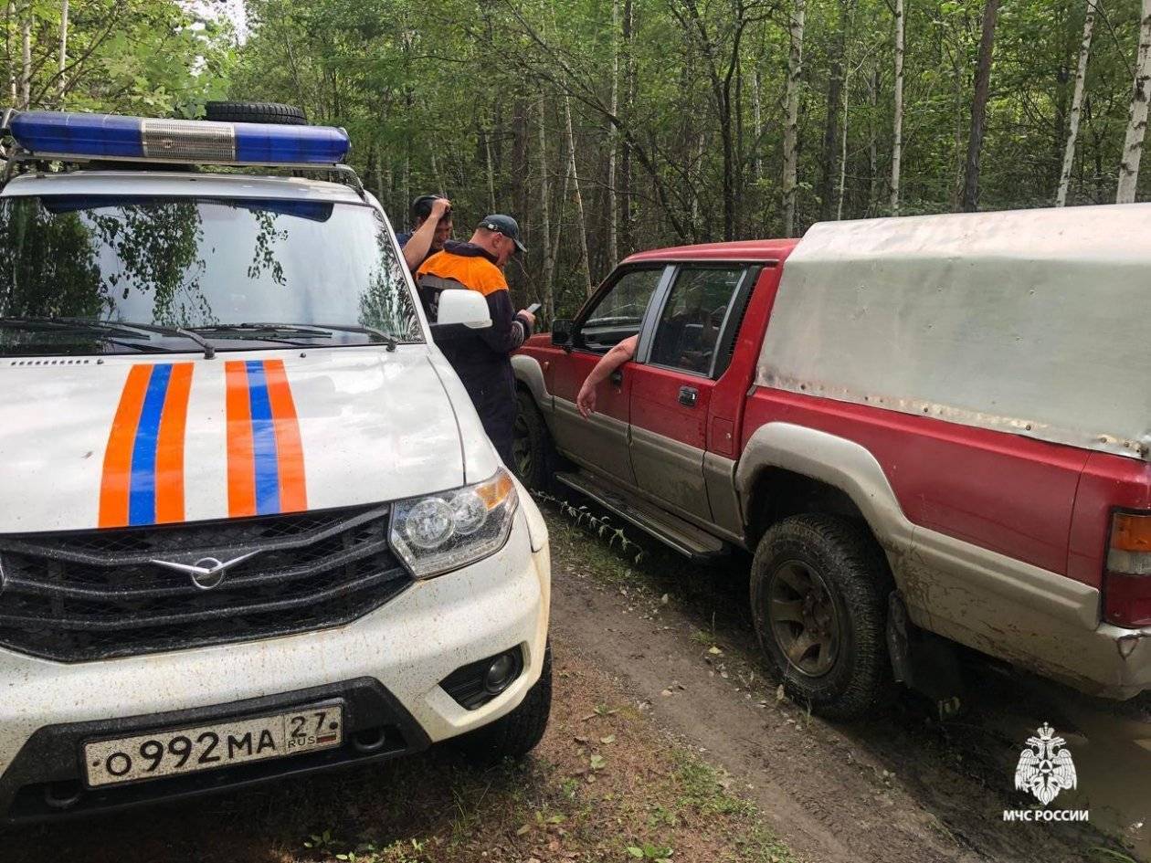 Пробегавший мимо пёс спас потерявшихся в лесу грибников в Хабаровском крае2