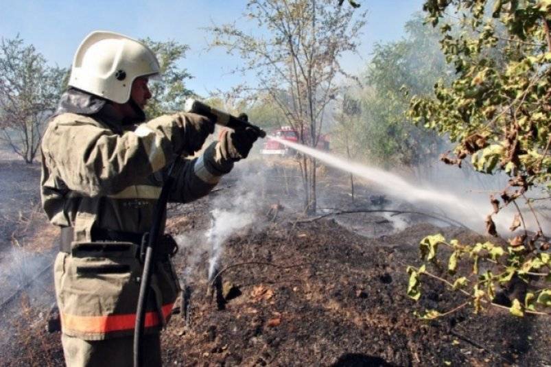 Сегодня в Хабаровском крае тушат один лесной пожар Пресс-служба министерства лесного хозяйства и лесопереработки Хабаровского края