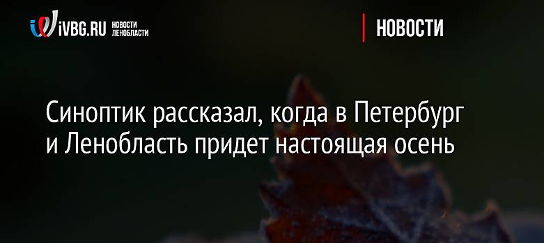 Синоптик рассказал, когда в Петербург и Ленобласть придет настоящая осень