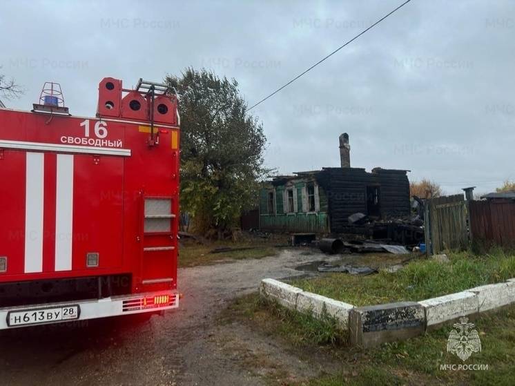 В Амурской области при пожаре погибли женщина и трое детей