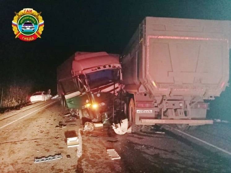 В Приамурье на трассе грузовики врезались друг в друга