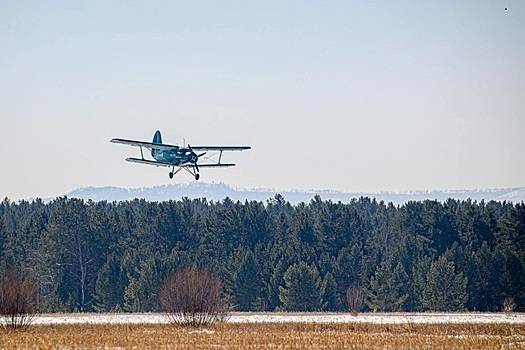 В Подмосковье разбился самолёт Ан-2