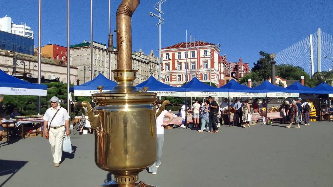 Вот это поворот: медведь на центральной площади Владивостока попал на камеру0