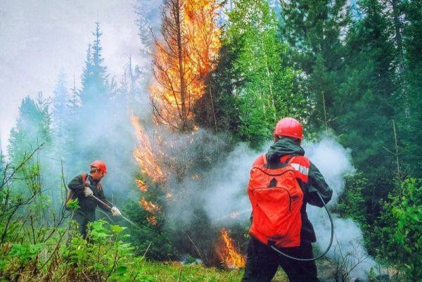 Один лесной пожар ликвидирован и два очага локализованы за минувшие выходные в Хабаровском крае