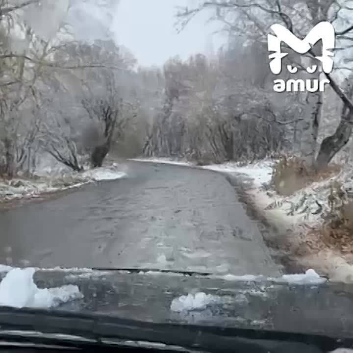 Зима пришла на Камчатку: полуостров засыпало белым и пушистым (ага, уже)