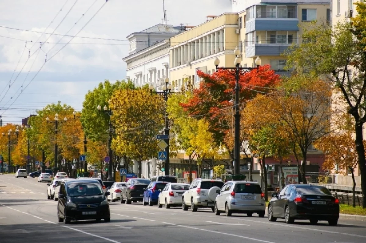 Погода: 23 октября ждём комфортные +11°C, с  ветром, но без осадков0