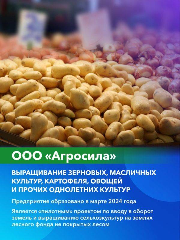 Губернатор Дмитрий Демешин обсудил развитие сельскохозяйственной отрасли с руководителями предприятий агропромышленного комплекса Хабаровского края