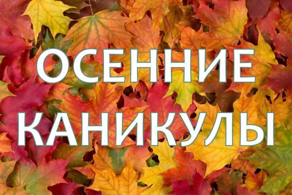 Осенние каникулы в школах Хабаровска пройдут с 28 октября по 5 ноября