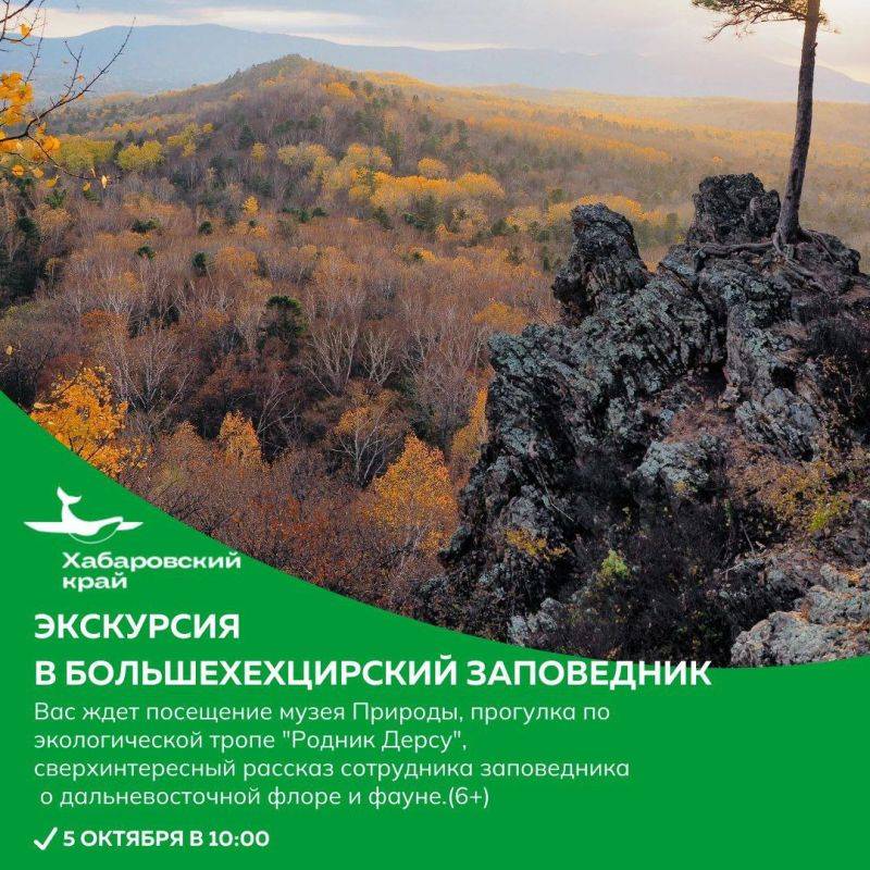 Выбираем досуг на выходные: побывать на производстве мороженого, прогуляться по экотропе или поучаствовать в «Амурфест.Осень»?