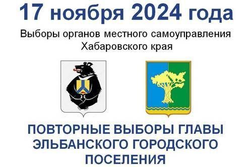 Завершилась регистрация кандидатов на должность главы Эльбанского городского поселения Амурского района