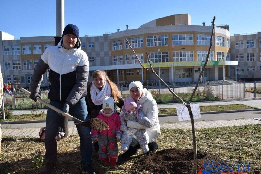 Семьи Центрального района высадили именные деревья в Хабаровске