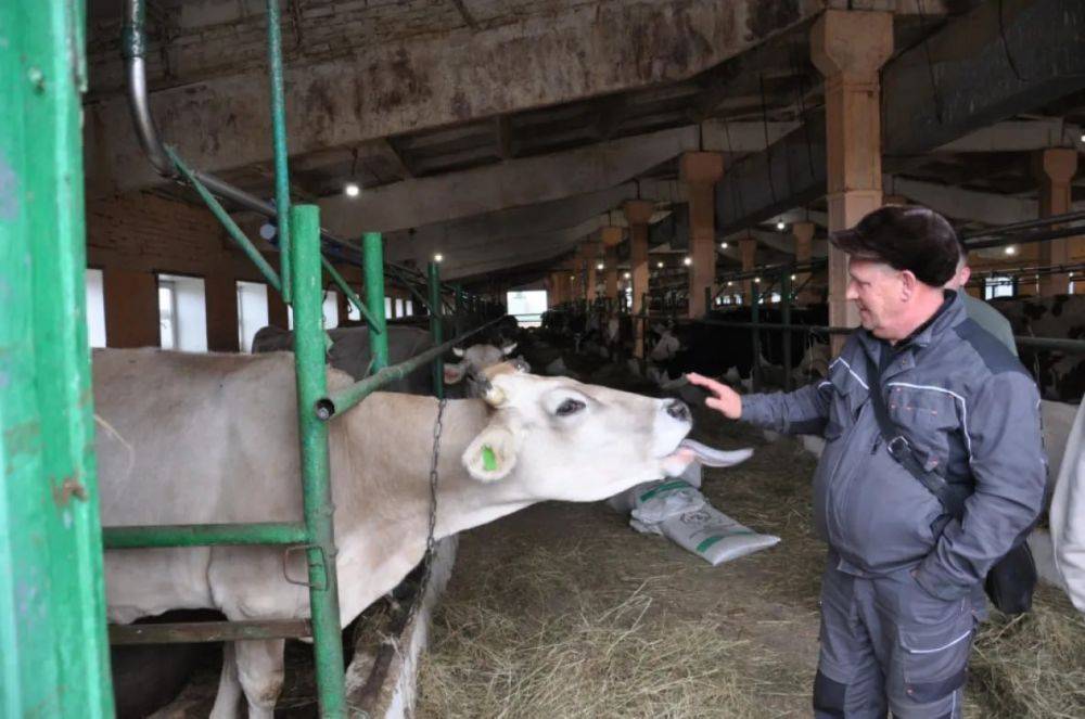 Хабаровская ферма признана лучшим семейным хозяйством в стране