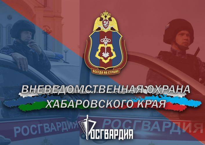 Более 50 граждан задержали сотрудники вневедомственной охраны Росгвардии за прошедшую неделю  