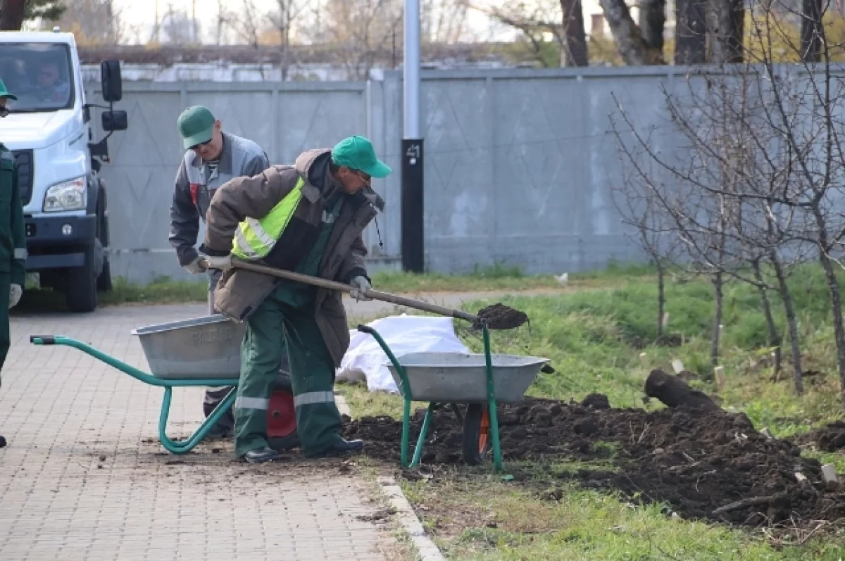 Хабаровск превращается в зеленый оазис осенью0