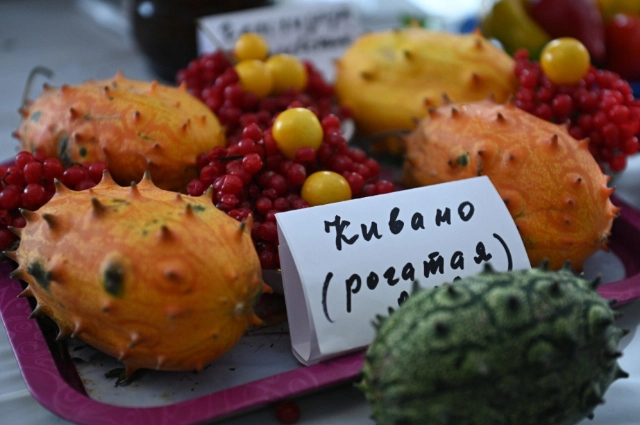 Садоводы и огородники