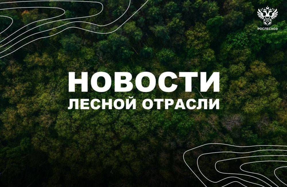 AK&M: Рослесхоз: за 9 месяцев 2024 года оказано свыше 854 тысяч лесных услуг в электронном виде