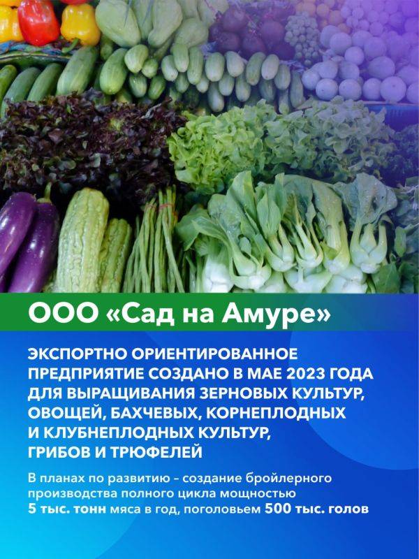 Губернатор Дмитрий Демешин обсудил развитие сельскохозяйственной отрасли с руководителями предприятий агропромышленного комплекса Хабаровского края