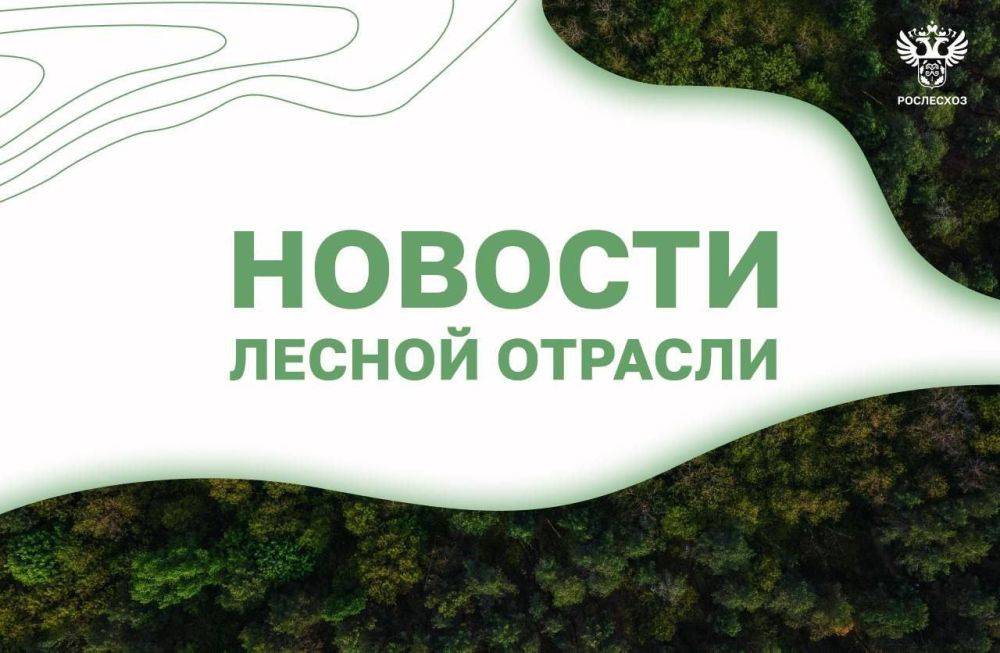 Коммерсантъ: Российские лесопромышленники за 8 месяцев 2024 года почти восстановили до прошлогоднего уровня поставки пиломатериалов в Китай