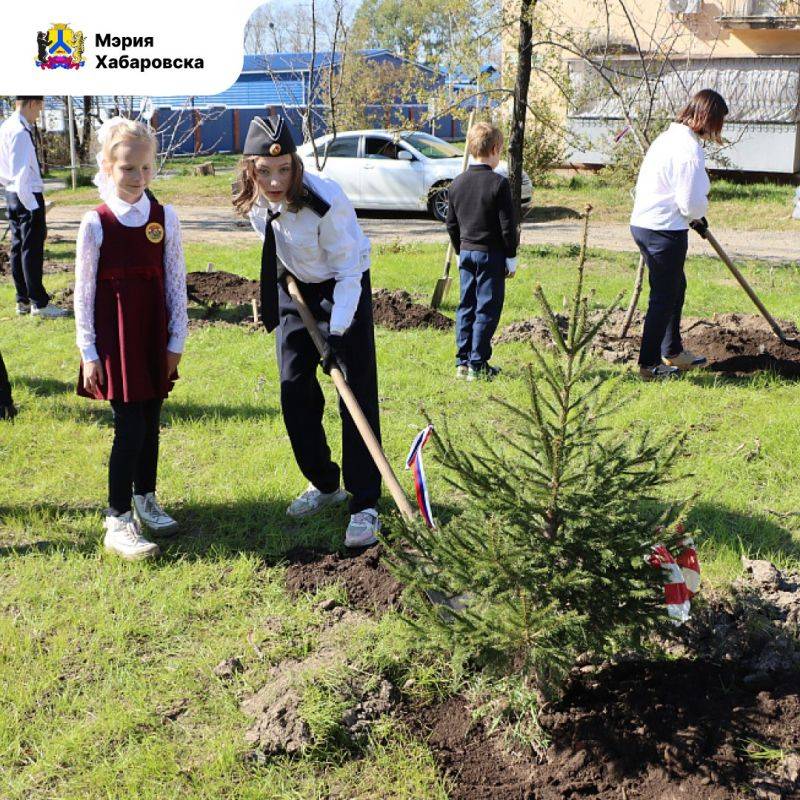 Педагогическую аллею высадили в сквере на улице Аксенова